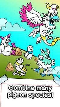 鴿子進化