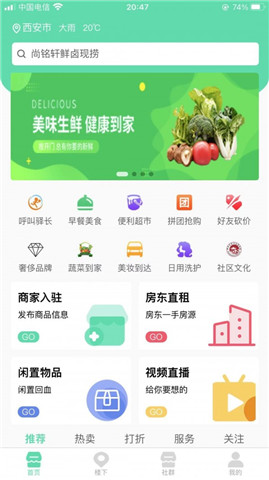 親鄰貓