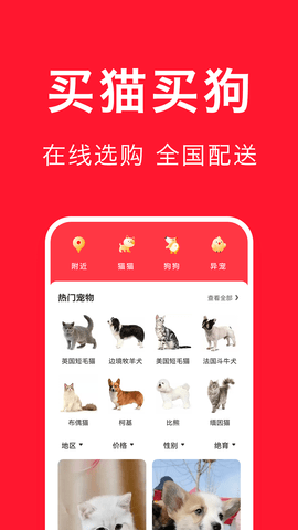 寵物寶