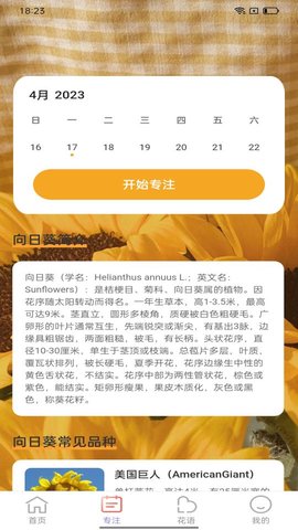 百花步數(shù)APP