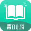 青竹小說