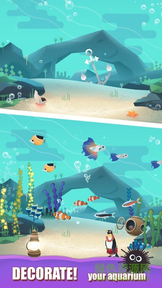 水族館之謎