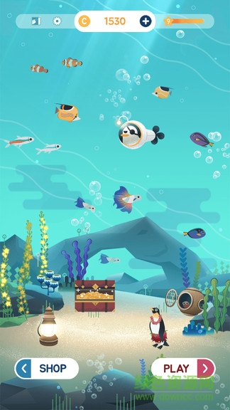 水族館之謎