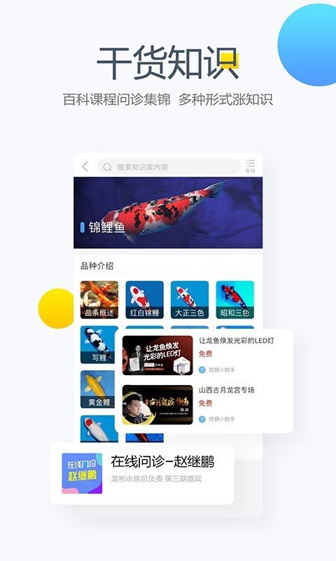 龍巔APP