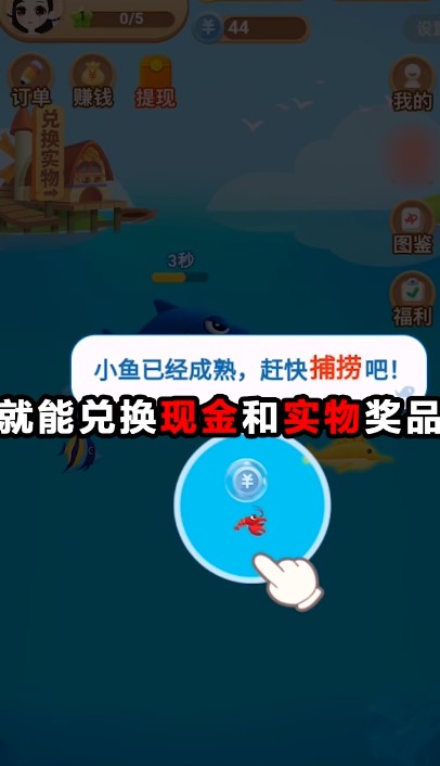 阿倫的魚(yú)塘