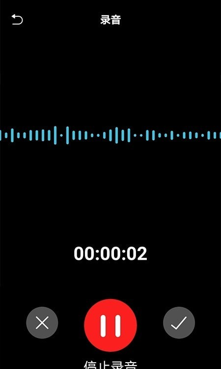 錄音轉(zhuǎn)文字幫手
