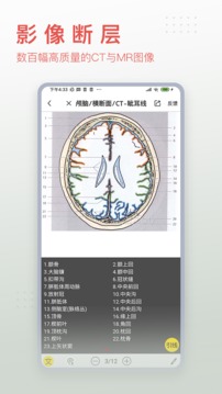 3d body解剖中文版