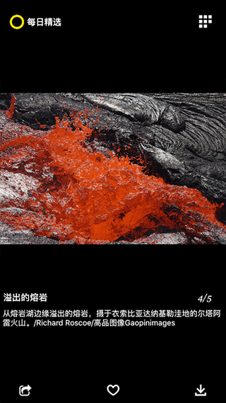 每日精選