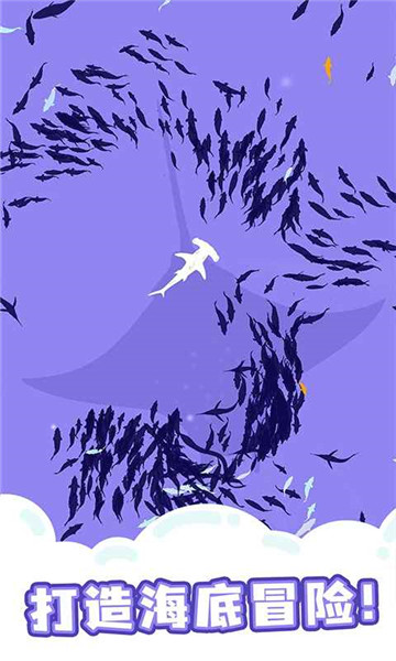 鯊魚來了