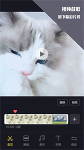 千蟬視頻剪輯王截圖