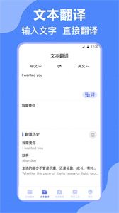 DeepL英譯漢截圖
