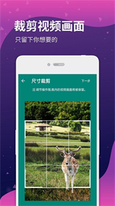 去水印視頻提取截圖