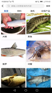 北魚漁業(yè)截圖