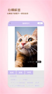 全能美日相機截圖