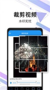 視頻去水印寶截圖