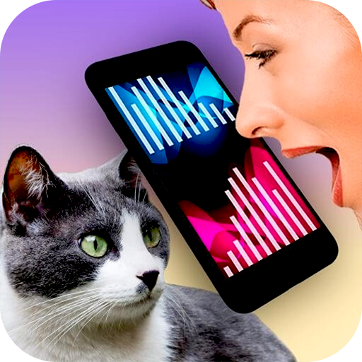 我的猫狗世界