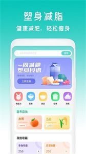 減脂菜譜瘦身
