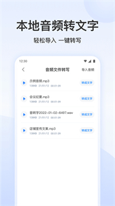 王牌錄音轉(zhuǎn)文字截圖