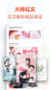 石頭追書