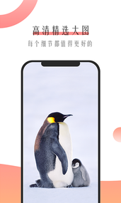 米柚壁紙截圖