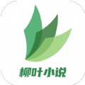 柳葉小說