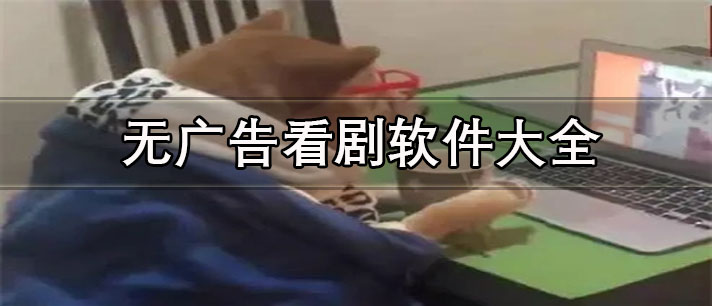 无广告看剧不卡的app推荐-全免费无广告看剧软件大全