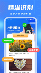 AI識別大師截圖
