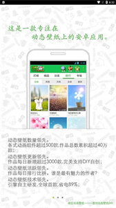 綠豆動(dòng)態(tài)壁紙截圖
