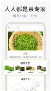 茶秘書