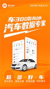 車(chē)300二手車(chē)截圖