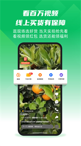 一畝田截圖