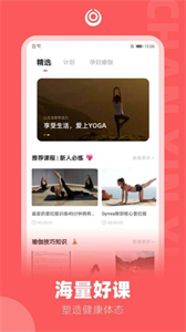 禪心瑜截圖