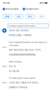 翻外字幕截圖