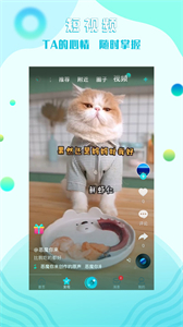 糖果互娛截圖