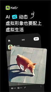 殼兒截圖