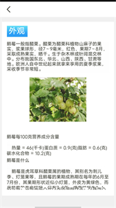 口袋水果截圖