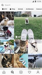 instagram正版截圖