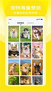 普銳動(dòng)物翻譯工?具