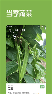 果蔬時節(jié)截圖
