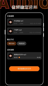 口袋錄音機(jī)大師截圖