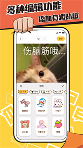 表情包制作鸭截图