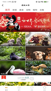 趕點旅居截圖