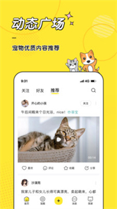 寵圈截圖