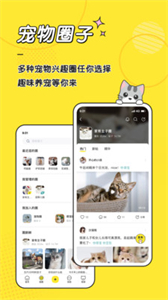 寵圈截圖
