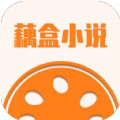 藕盒小說