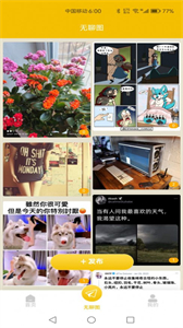 小小品截圖