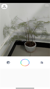 驚鴻相機截圖
