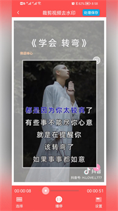 P圖去水印