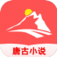 唐古小說