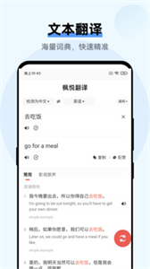 楓悅翻譯截圖